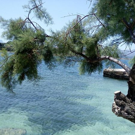 Laura Sunbeach Alcudia  Exterior photo